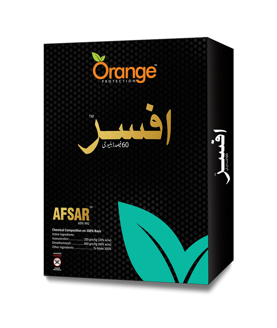 Afsar 60 WDG