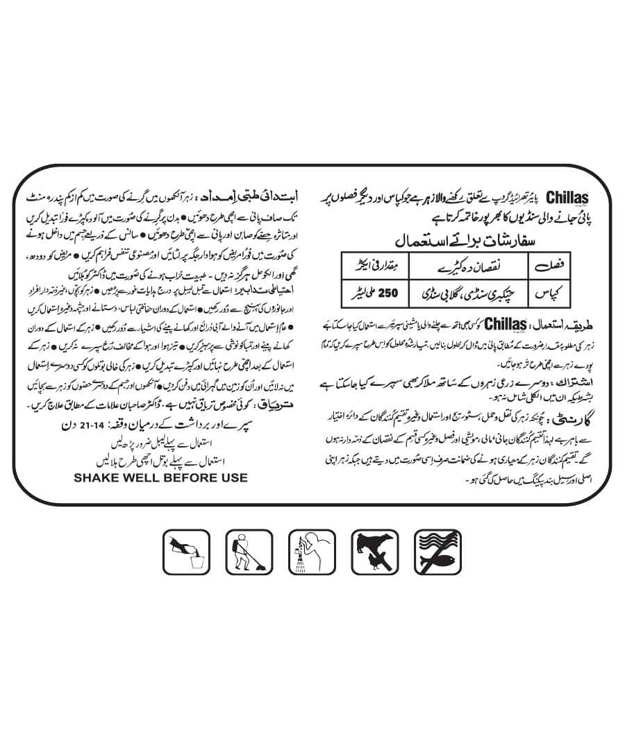 Chillas online shopping in Pakistan.