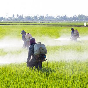 Herbicides