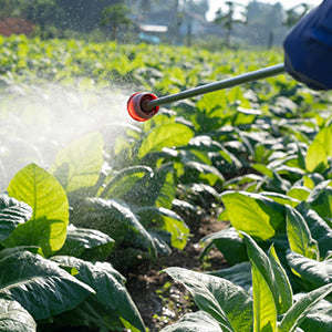 Insecticides