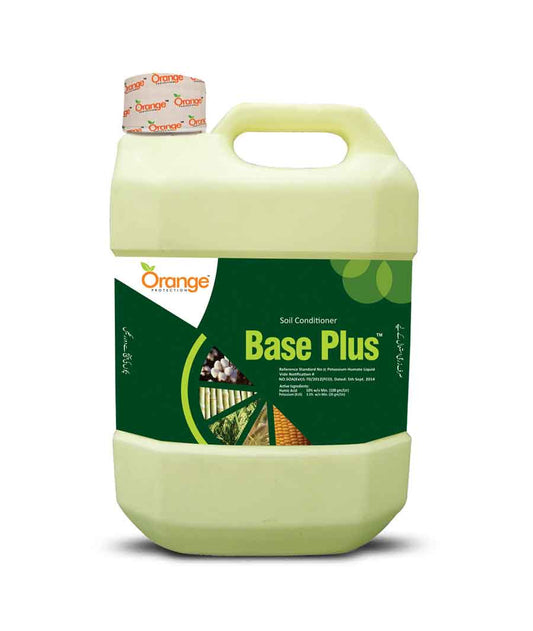 Base Plus